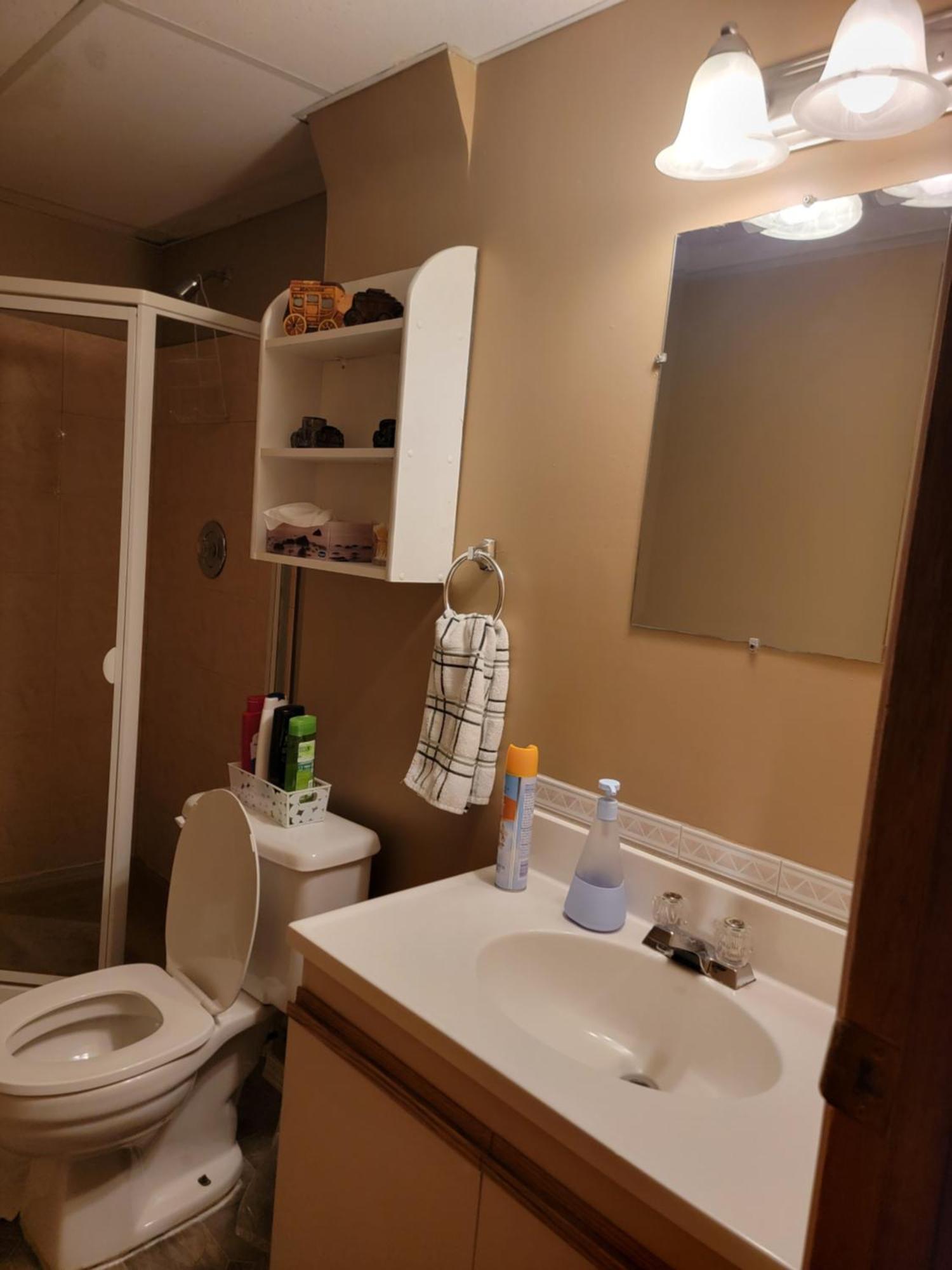 Charming - 2 Bedrooms Suite, 1 Full Bath & Family Room Kamloops Dış mekan fotoğraf